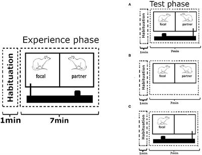 Reaching Out for Inaccessible Food Is a Potential Begging Signal in Cooperating Wild-Type Norway Rats, Rattus norvegicus